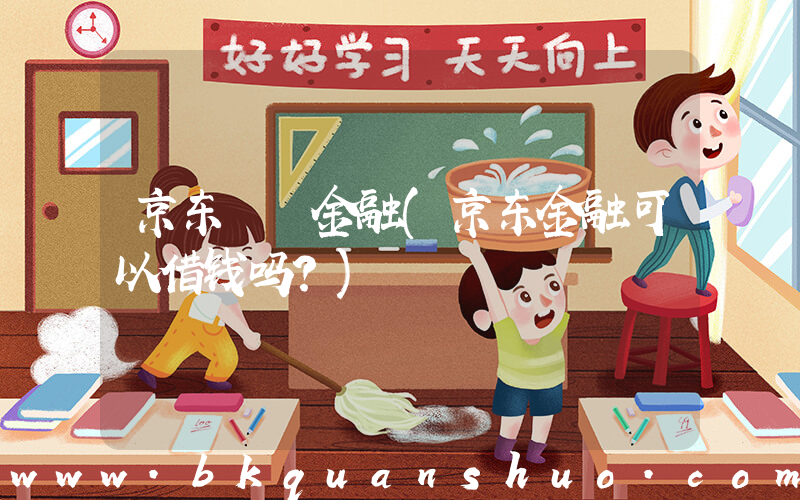 京东  金融(京东金融可以借钱吗？)